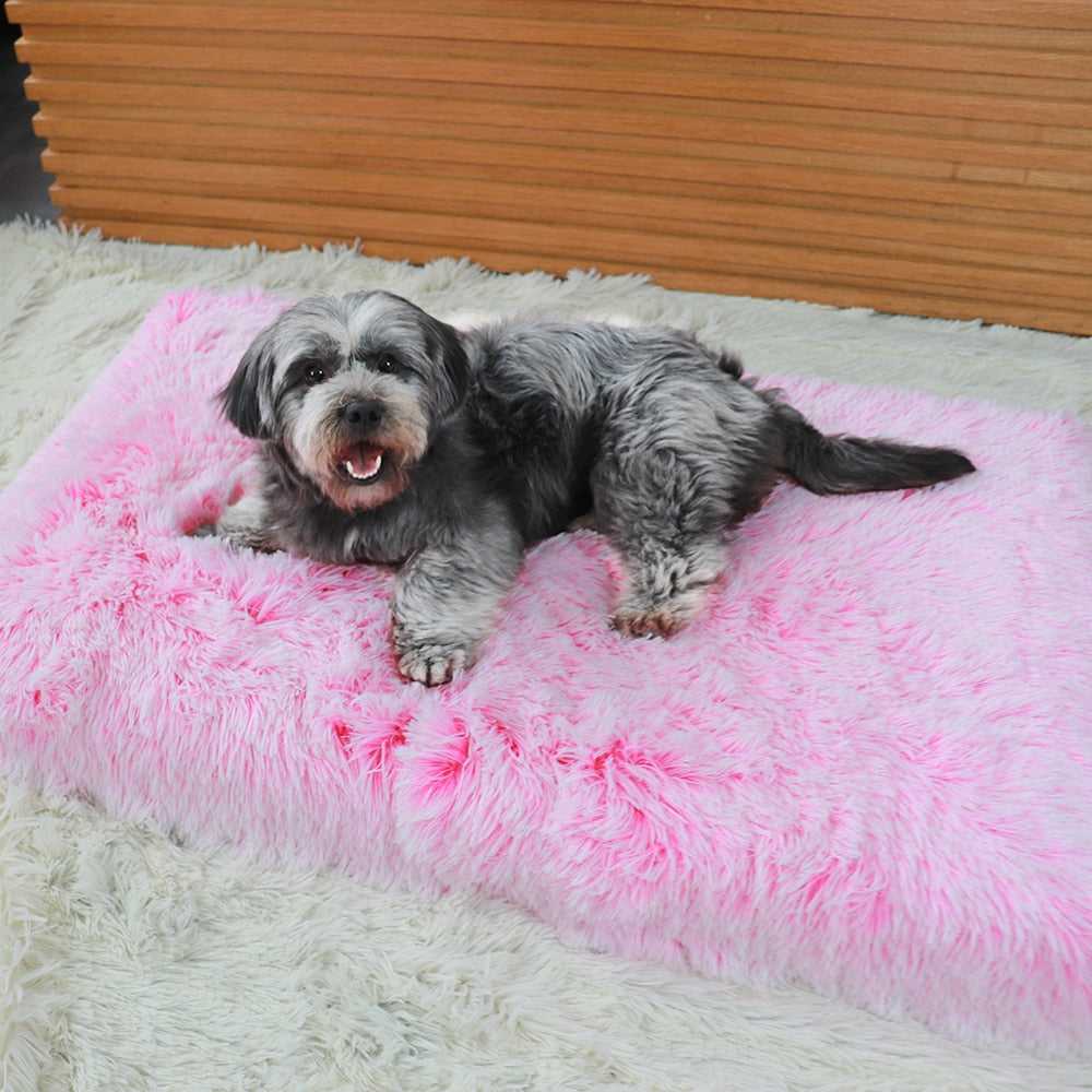 Luxury Calming Dog Bed