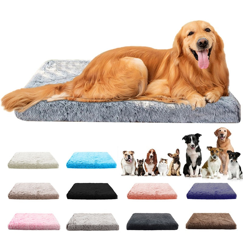 Luxury Calming Dog Bed