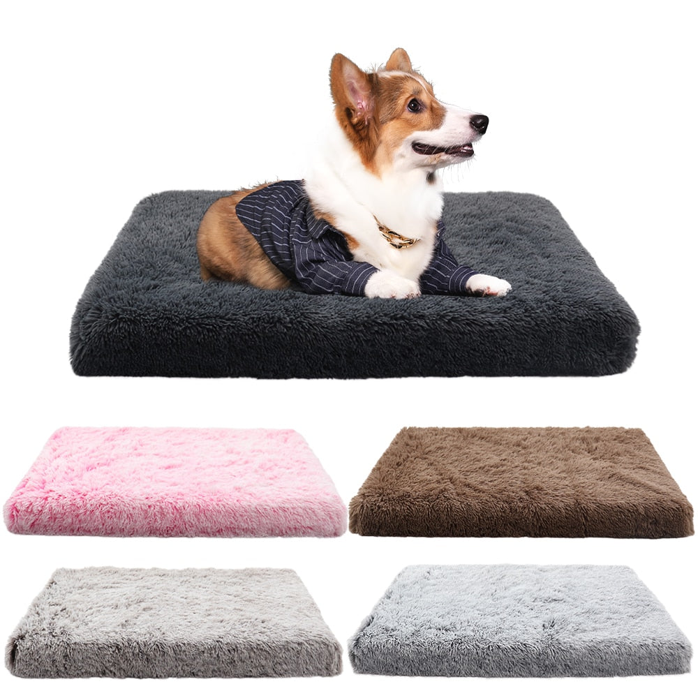 Luxury Calming Dog Bed